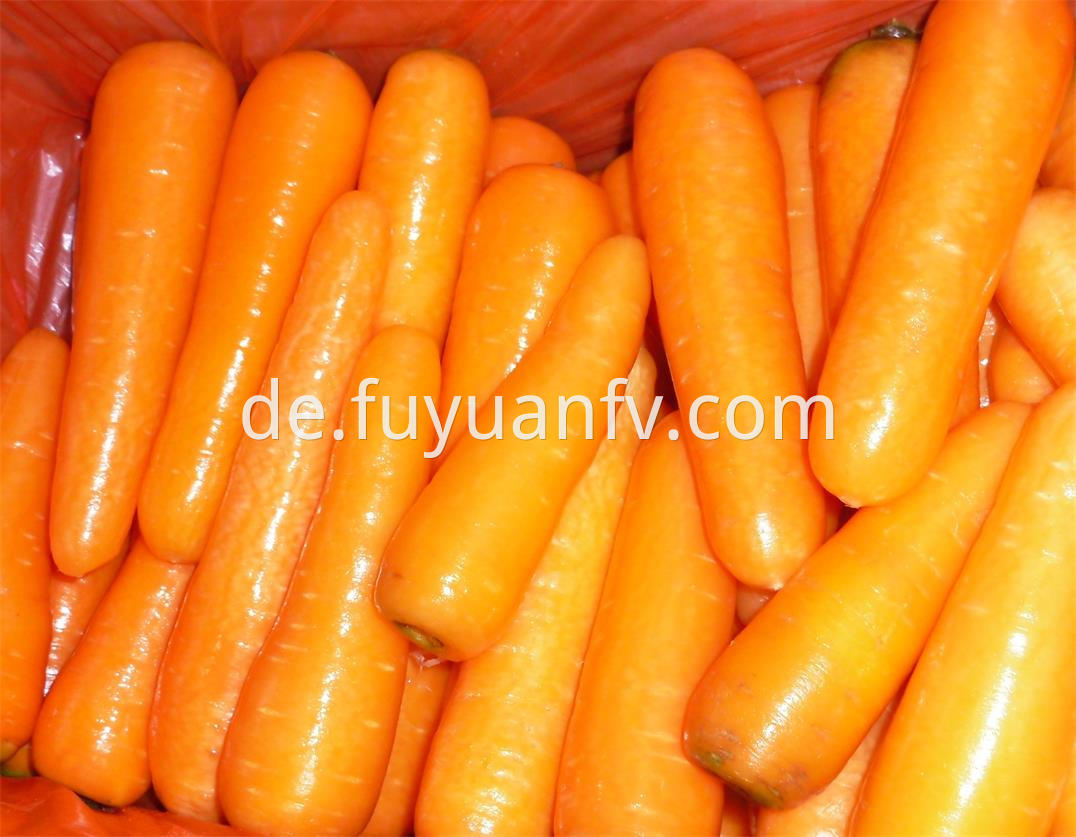 fresh carrot